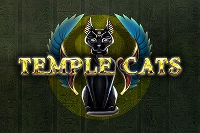 Templecats онлайн КилоГрам Казино
